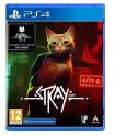 Stray 
