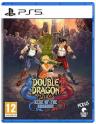 Double Dragon Gaiden: Rise of the Dragons 