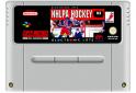 NHLPA Hockey 93 - SCN