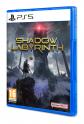 Shadow Labyrinth (ps5)