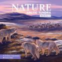 Nature: Module 4 - Arctic Tundra