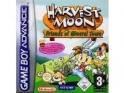 Harvest Moon: Friends of Mineral Town