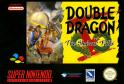 Double Dragon V: The Shadow Falls